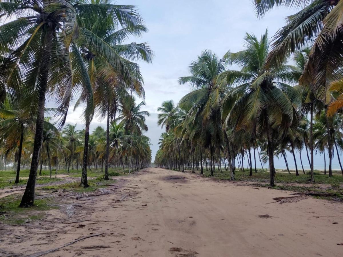 Pousada Flor De Maraca Porto de Galinhas Ngoại thất bức ảnh