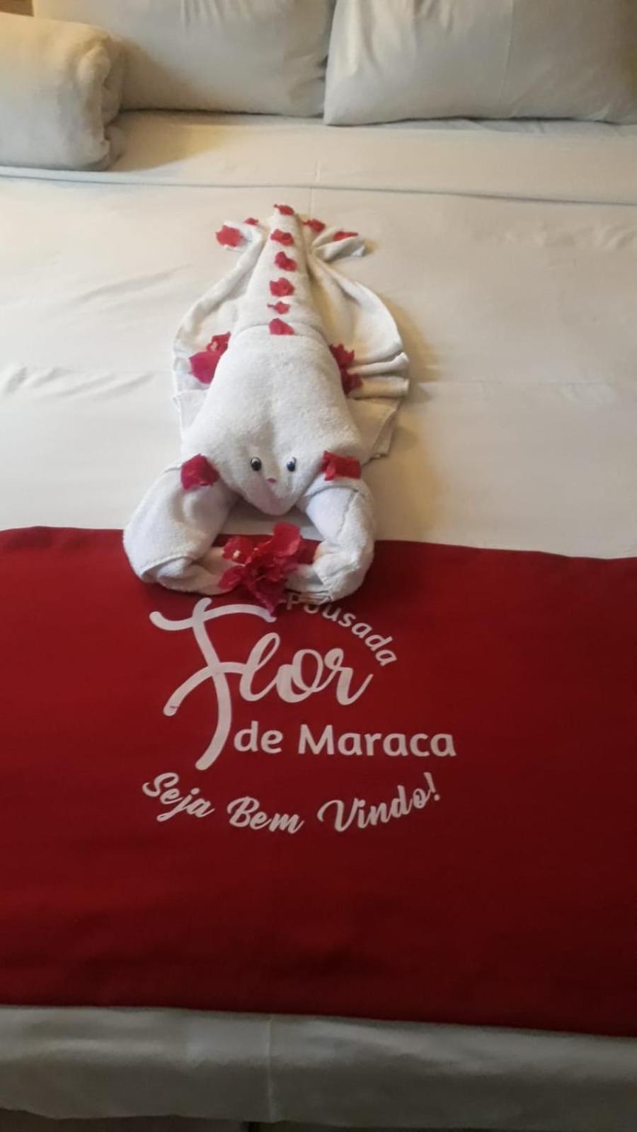 Pousada Flor De Maraca Porto de Galinhas Ngoại thất bức ảnh